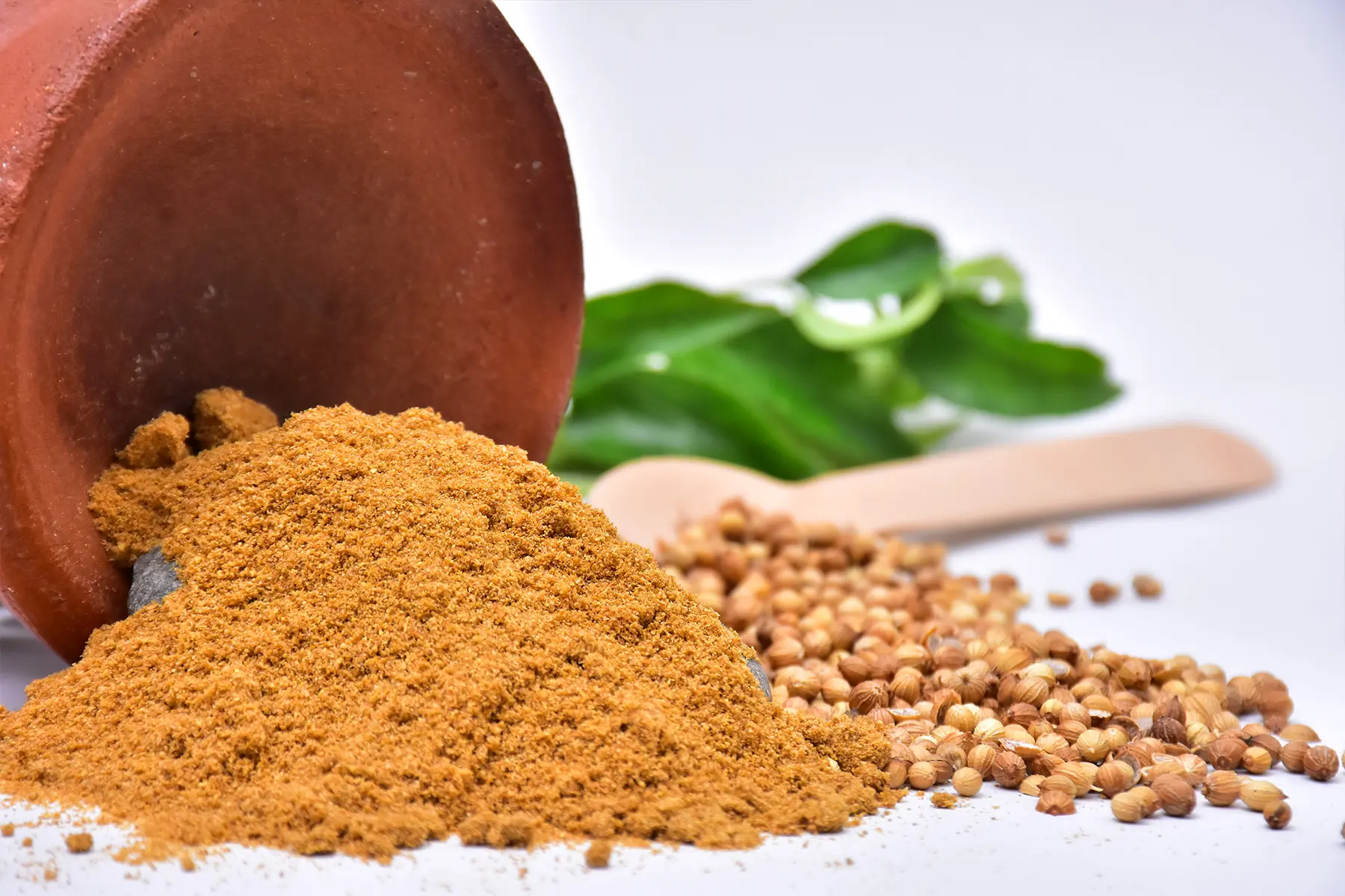 Coriander powder Coriander Powder - Image 1